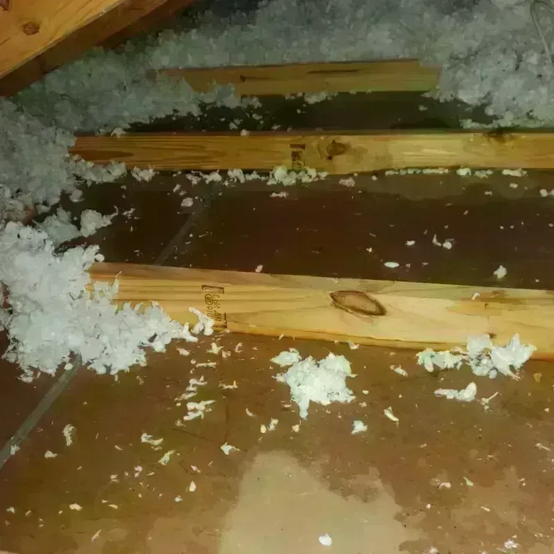 Attic Water Damage in Bristol, FL