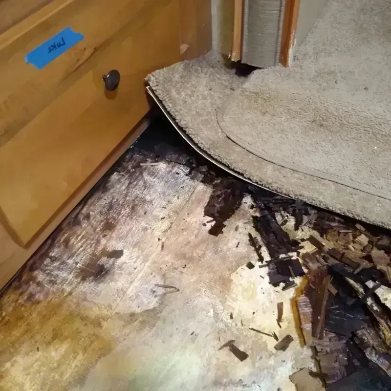 Best Wood Floor Water Damage Service in Bristol, FL